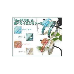 �Х󥰥�ϥ󥬡� the FUMI�ʥեߡ�/�ۥ磻��