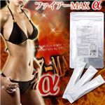 t@CA[MAXyܖ:2011N12܂Łz