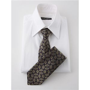 Vivienne Westwood(ヴィヴィアンウエストウッド) ネクタイ 2009年春夏モデル 304-0004