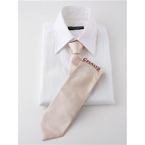 Vivienne Westwood(ヴィヴィアンウエストウッド) ネクタイ 2009年春夏モデル 306-0001