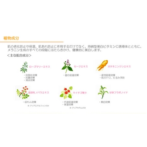 �C�I�i ���F�[�� �������邨�������Z�b�g�y�~�j�T�C�Y �Z�b�g�t���z