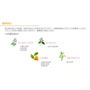 イオナ ヴェール ヴィーホワイト クリアウォッシュ ５本セット【ミニサイズ セット付き】