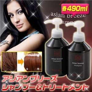 アジアンブリーズ シャンプー&トリートメントセット