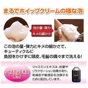 �A�W�A���u���[�Y �V�����v�[���g���[�g�����g�Z�b�g