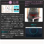 4Xスタイルアップベルト