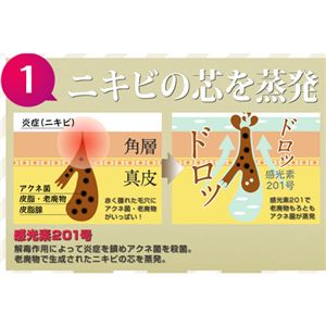 ブライダルレッドドロップ