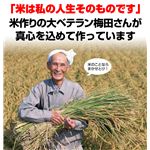 【平成23年度新米】京都丹後産ミルキークイーン 5kg