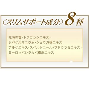 スリムサポートジェル メルモルト 200g