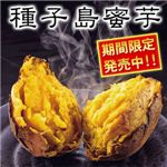 夢百笑 種子島蜜芋 5Kg 【安納芋(あんのういも)】