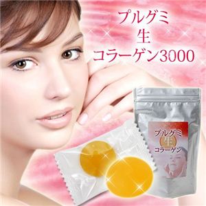 �v���O�~���R���[�Q��3000