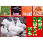 �A�X�^�L�T���`���{���[�Y�y3�Z�b�g�z