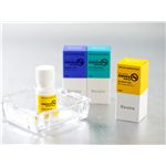 アットアロマ 100%pure essential oil ＜SMOKE minus セット（10ml×3本）＞