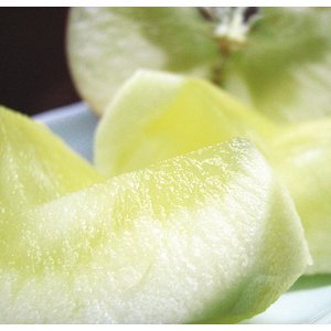 【葉とらずりんごのりんごジュース】林檎園：ストレート果汁100％　1000ml×6本