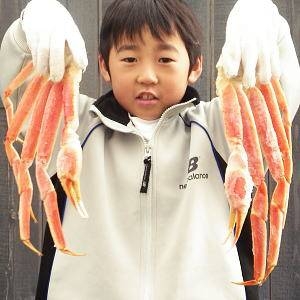 【大2Ｌ】女王ズワイガニ（ボイル 脚）1kg（3肩前後）