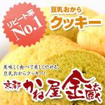 ���s�F���u���ˉ������v����������N�b�L�[�i�v���[���������j