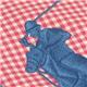 Ralph Lauren�ʥ��ե������� 463-PPTZP GINGHAM(CANVAS) �ȡ��� PK �̿�4