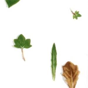 Hermes（エルメス） メスクラン 長方形皿 16x12cm 7989