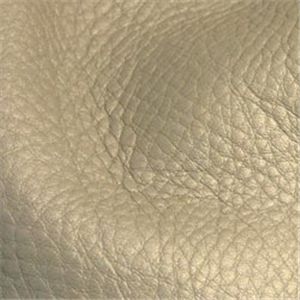 [�����롡�ϡ���]B21101 VILLAGE SH PLATINUM