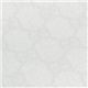 GUCCI�ʥ��å��� �ȡ��ȥХå� 189896 FCIIG BIANCO��PLATINO/9069 �̿�4