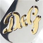 Dolce&Gabbana (ドルチェ＆ガッバーナ) DJ0635 ペンダント SI