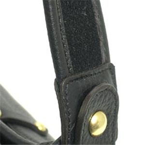 [�ե��饬��]217291 SH BK