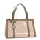 Gucci (グッチ) 181490 FT01G 6863 SH LPK-BR