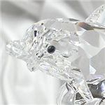 Swarovski (スワロフスキー) 678507 Bebe dauphin