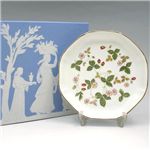 Wedgwood�i�E�F�b�W�E�b�h�j ���C���h�X�g���x���[ �I�N�^�S�i���f�B�b�V�� S 18cm