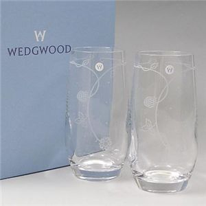 Wedgwood（ウェッジウッド） ワイルドストロベリー クリスタルタンブラーペア 1801