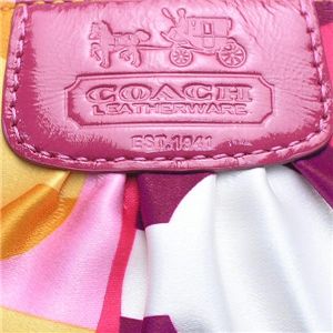 Coach(コーチ) ポーチ 42342VDAY SCARF PRINT 第4画像