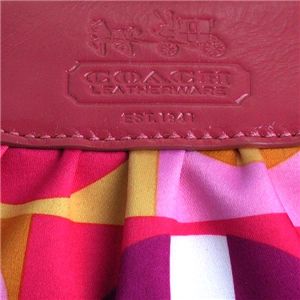 Coach(コーチ) ポーチ 42349VDAY SCARF PRINT 第4画像