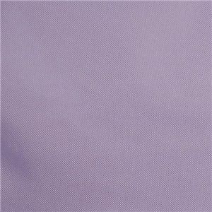 Longchamp（ロンシャン） トートバッグ 1623 バイオレット 第5画像