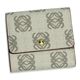 LoeweiGxj WzbNz ANAGRAM COATED CANVA 168.80.956 1490 CgO[