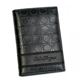 Ferragamo�i�t�F���K���j �J�[�h�P�[�X MENS SLG GAMMA 668736 433525 �u���b�N