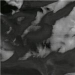 LESPORTSAC（レスポートサック） ボストンバッグ ブラックパテント 7185 ブラック