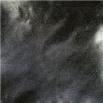 LESPORTSAC（レスポートサック） ボストンバッグ ブラックオパール 7185