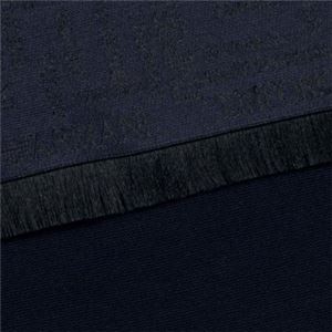 EMPORIO ARMANI（エンポリオアルマーニ） マフラー  620002 2234 BLUE