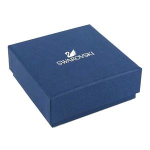 Swarovski（スワロフスキー） ピアス 5081366