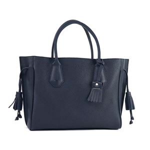 Longchamp�i�����V�����j �n���h�o�b�O 1295 606 MINUIT