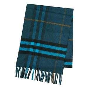 Burberry�i�o�[�o���[�j �}�t���[  GIANT ICON 168 BBR DARK TEAL