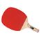 }g싅 GIANTSOFT10P 23320iWCAg\tg10Pj [싅Pbg/싅pi/TSP]