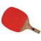 }g싅 GIANTSOFT13P 23330iWCAg\tg13Pj [싅Pbg/싅pi/TSP]