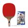 }g싅 GIANTPRO180 25400iWCAgv180j [싅Pbg/싅pi/TSP]