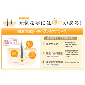 ファイテン（PHITEN）髪フード トリートメント 240g