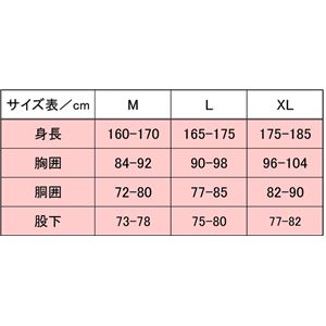 PUROMONTE(プロモンテ) Rain Wear ゴアテックス オールウェザージャケット Men's SJ007M アクア L