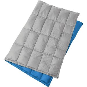PUROMONTE(プロモンテ) リバーシブルダウンブランケット WD003 グレー×ブルー F