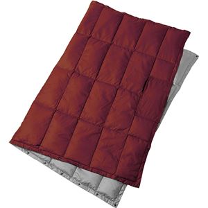 PUROMONTE(プロモンテ) リバーシブルダウンブランケット WD003 ワイン&times;グレー F