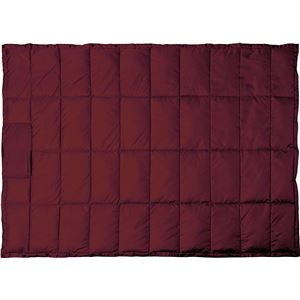 PUROMONTE(プロモンテ) リバーシブルダウンブランケット WD003 ワイン&times;グレー F