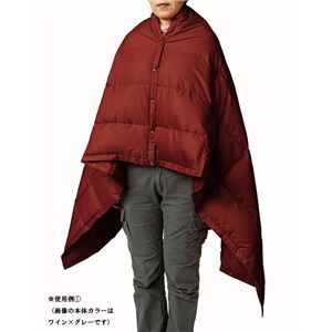 PUROMONTE(プロモンテ) リバーシブルダウンブランケット WD003 ワイン&times;グレー F