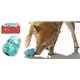 �ڥڥå��ѡ�KONG���ʥ��󥰡ˡ��ȥ졼�˥󥰡��ȡ������ѥԡ������󥰡�M